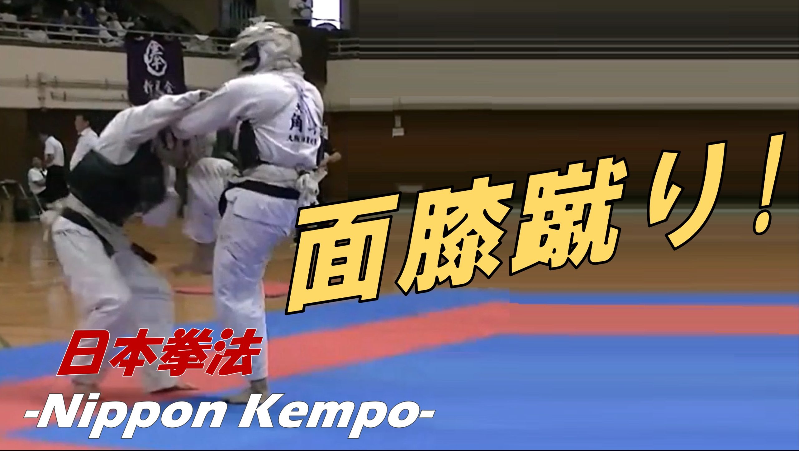 パターンが様々ある面膝蹴り集 Kempo Channel 日本拳法